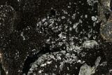 Septarian Dragon Egg Geode - Black Crystals #98899-2